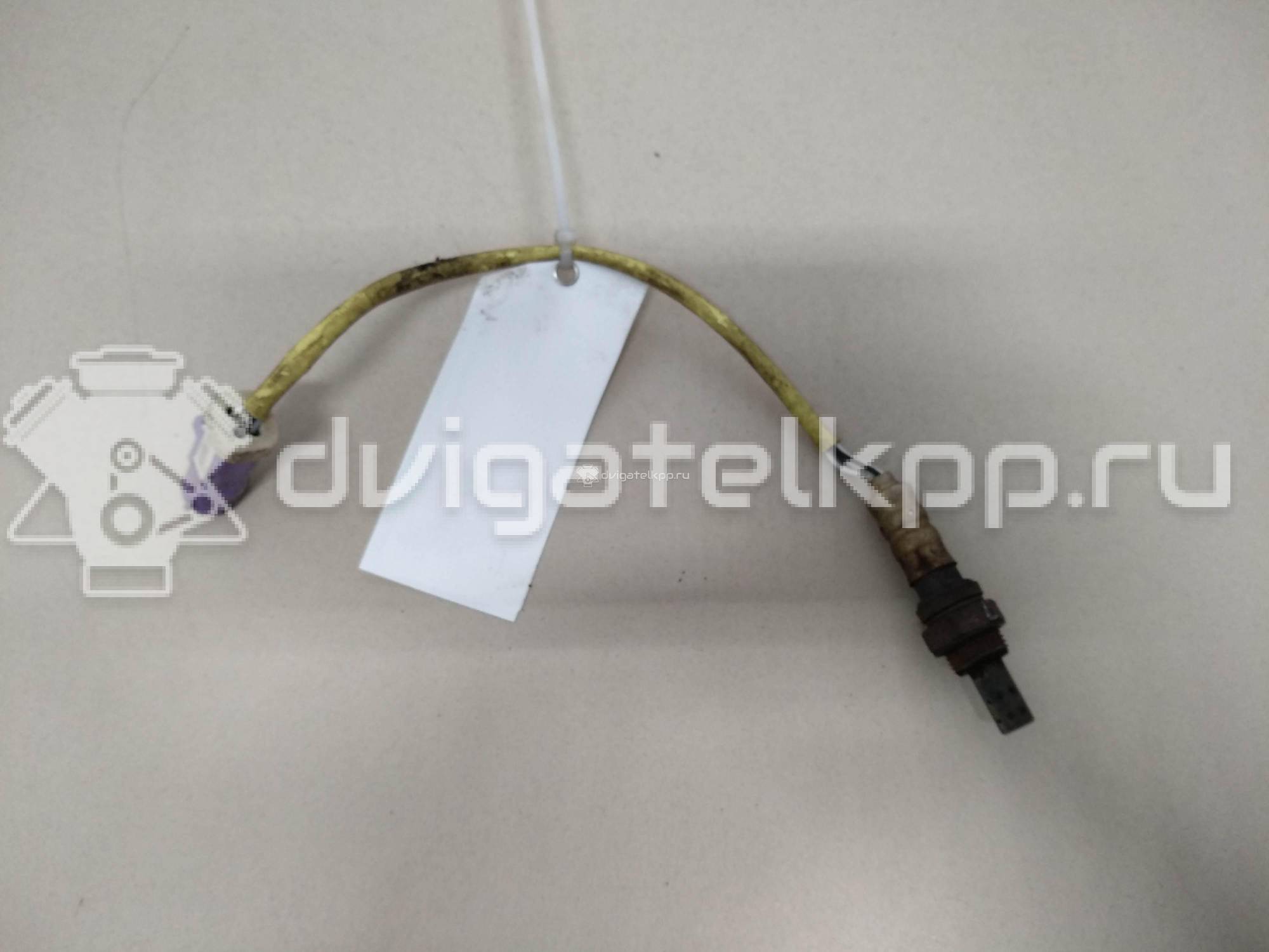 Фото Датчик кислородный/Lambdasonde  ae819g444ad для Ford Fiesta / Focus / Tourneo / Scorpio / Sierra {forloop.counter}}