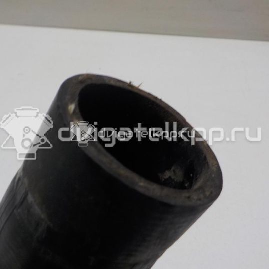 Фото Патрубок интеркулера  1672189 для Ford Focus / C-Max