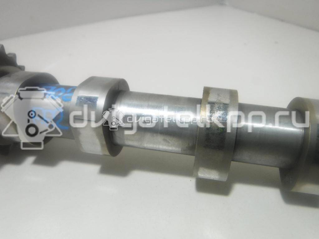 Фото Распредвал впускной  1313804 для Ford Fiesta / Focus / C-Max / Fusion Ju {forloop.counter}}