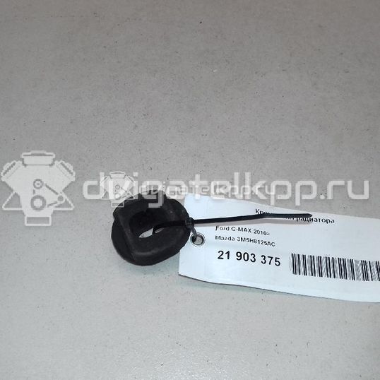 Фото Подушка радиатора  3M5H8125AC для Ford Focus / Kuga / C-Max / Grand