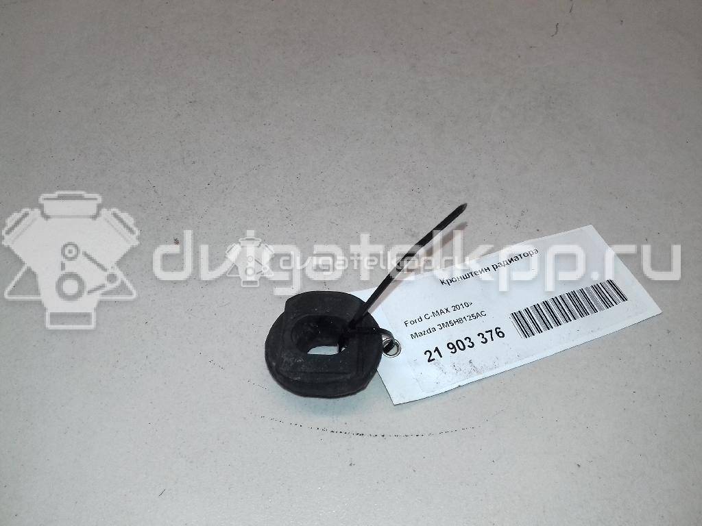 Фото Подушка радиатора  3M5H8125AC для Ford Focus / Kuga / C-Max / Grand {forloop.counter}}