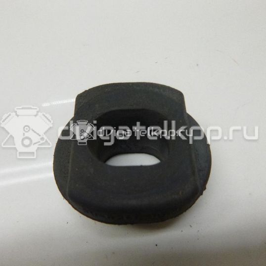 Фото Подушка радиатора  3M5H8125AC для Ford Focus / Kuga / C-Max / Grand