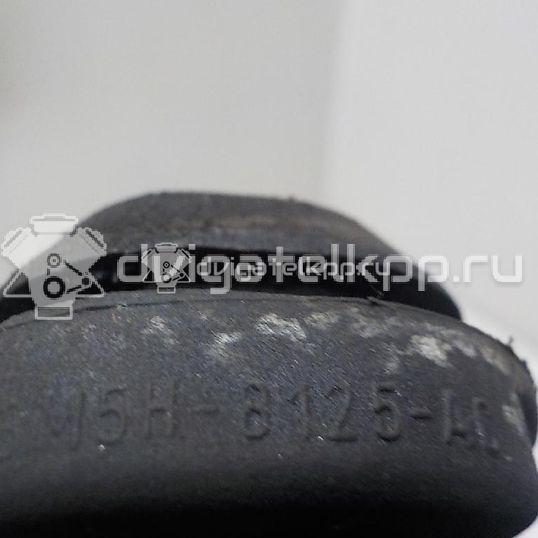 Фото Подушка радиатора  3M5H8125AC для Ford Focus / Kuga / C-Max / Grand