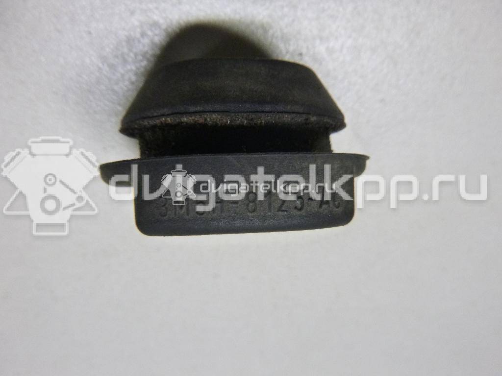 Фото Подушка радиатора  3M5H8125AC для Ford Focus / Kuga / C-Max / Grand {forloop.counter}}