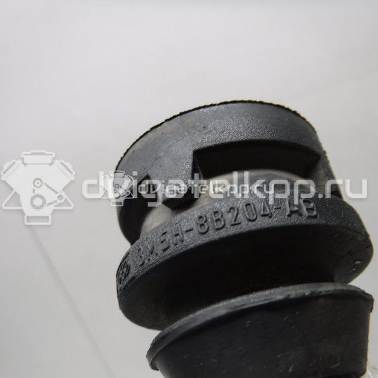 Фото Подушка радиатора  3M5H8B204AB для Ford Focus / C-Max / Galaxy / Grand / Kuga