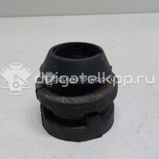 Фото Подушка радиатора  3M5H8B204AB для Ford Focus / C-Max / Galaxy / Grand / Kuga