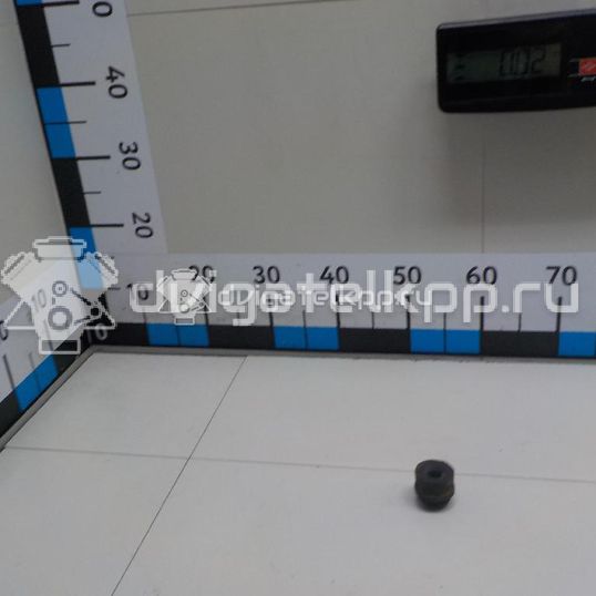Фото Подушка радиатора  3M5H8B204AB для Ford Focus / C-Max / Galaxy / Grand / Kuga