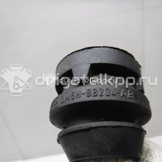 Фото Подушка радиатора  3M5H8B204AB для Ford Focus / C-Max / Galaxy / Grand / Kuga