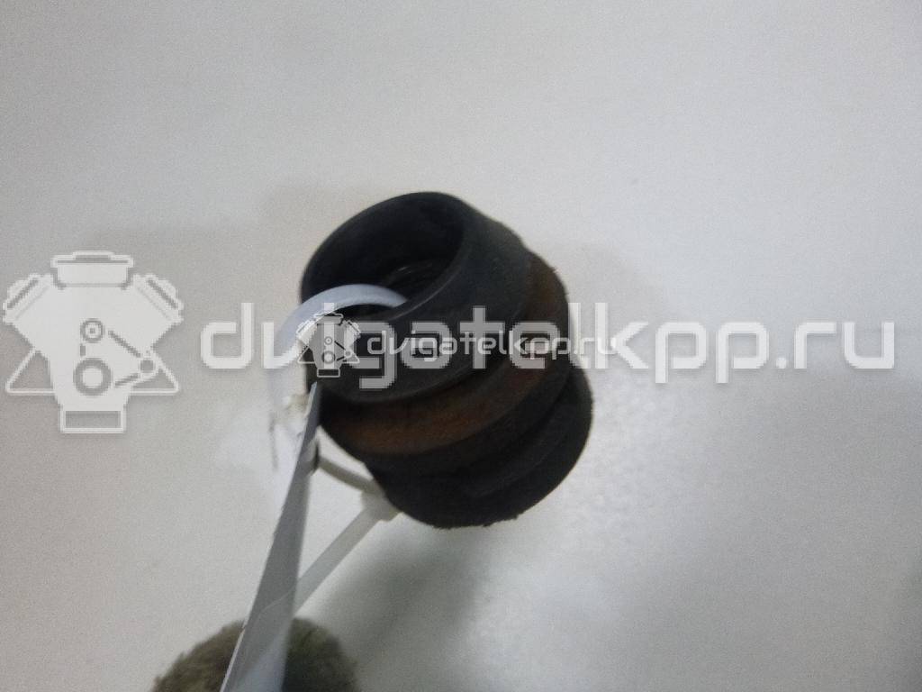 Фото Подушка радиатора  3M5H8B204AB для Ford Focus / C-Max / Galaxy / Grand / Kuga {forloop.counter}}