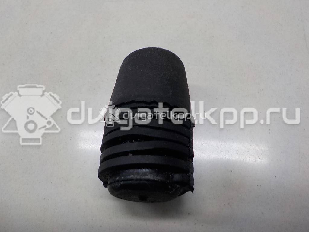 Фото Отбойник капота  1069504 для Ford Focus / S-Max / Transit / C-Max {forloop.counter}}