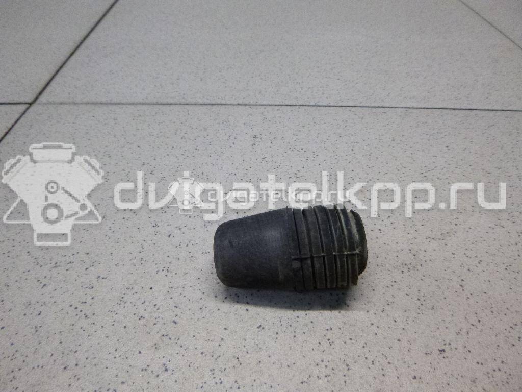 Фото Отбойник капота  1069504 для Ford Focus / S-Max / Transit / C-Max {forloop.counter}}