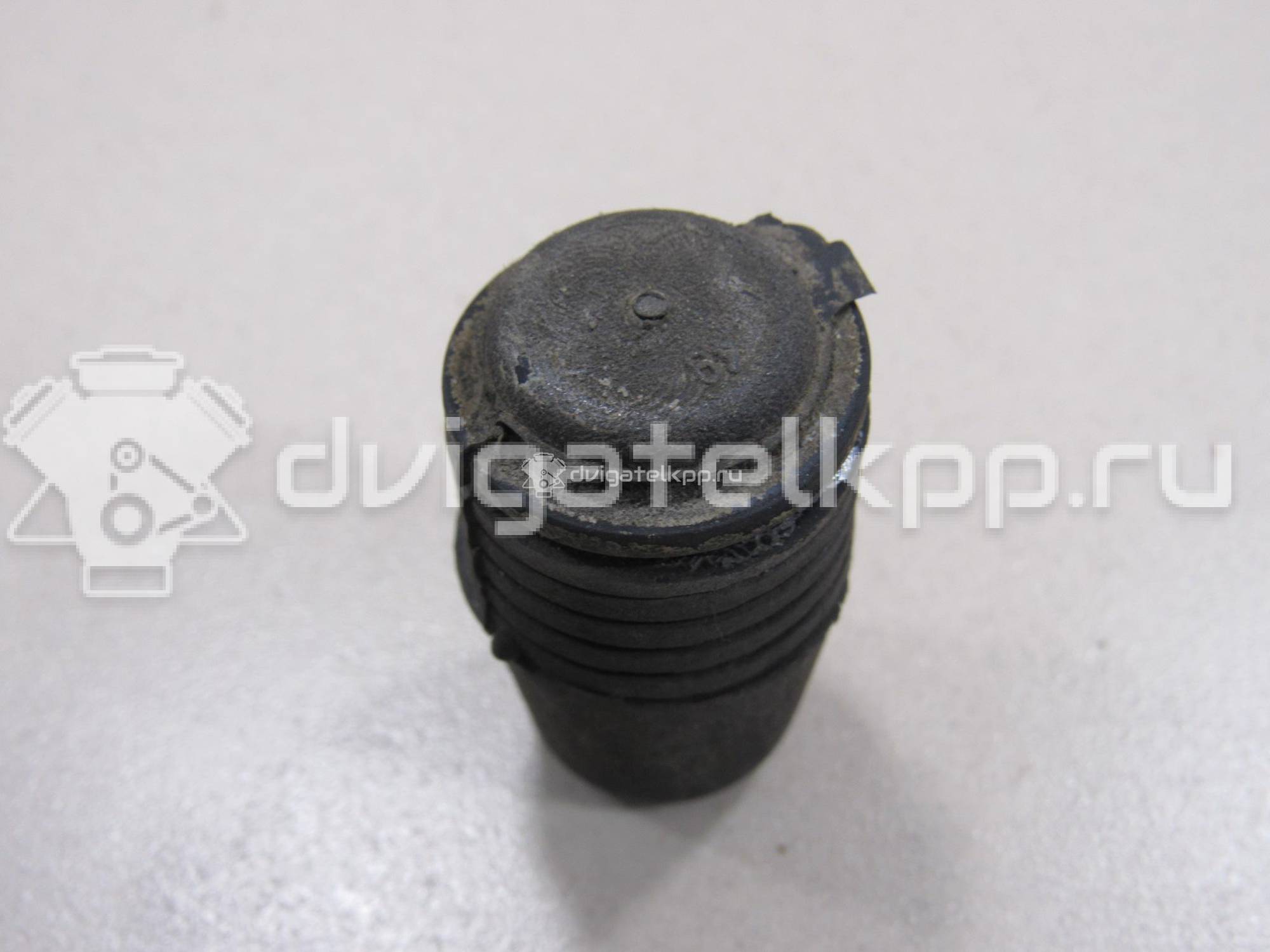 Фото Отбойник капота  1069504 для Ford Focus / S-Max / Transit / C-Max {forloop.counter}}