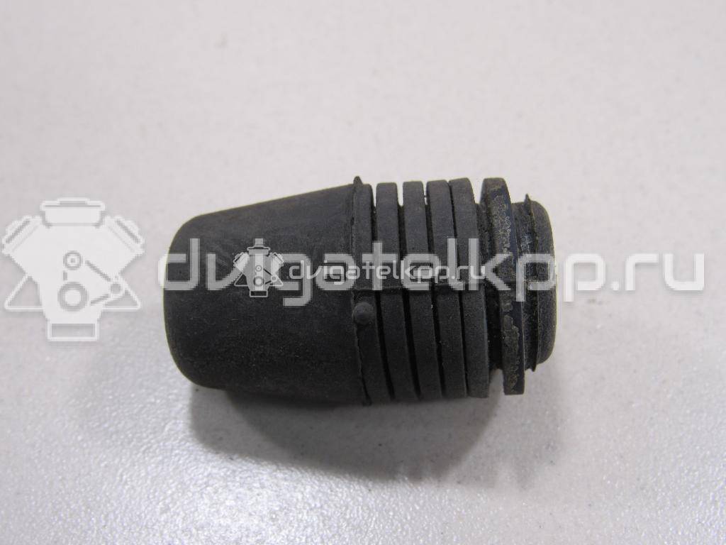 Фото Отбойник капота  1069504 для Ford Focus / S-Max / Transit / C-Max {forloop.counter}}