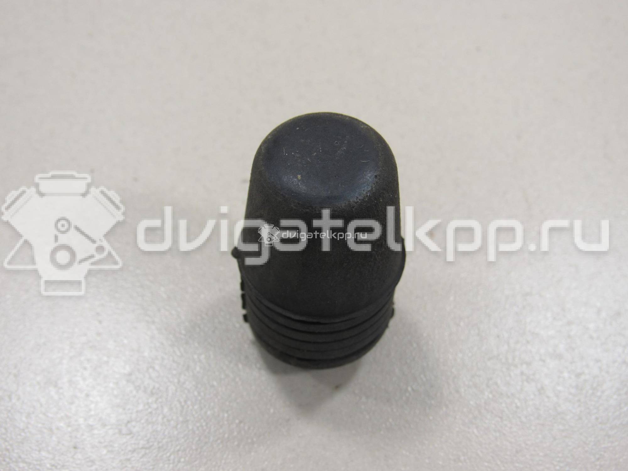 Фото Отбойник капота  1069504 для Ford Focus / S-Max / Transit / C-Max {forloop.counter}}