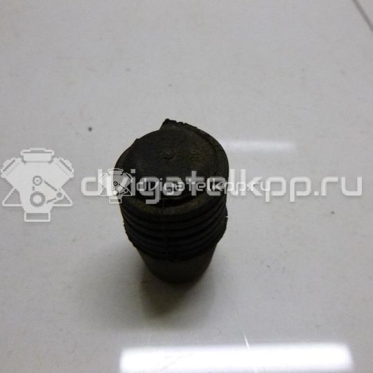 Фото Отбойник капота  1069504 для Ford Focus / S-Max / Transit / C-Max