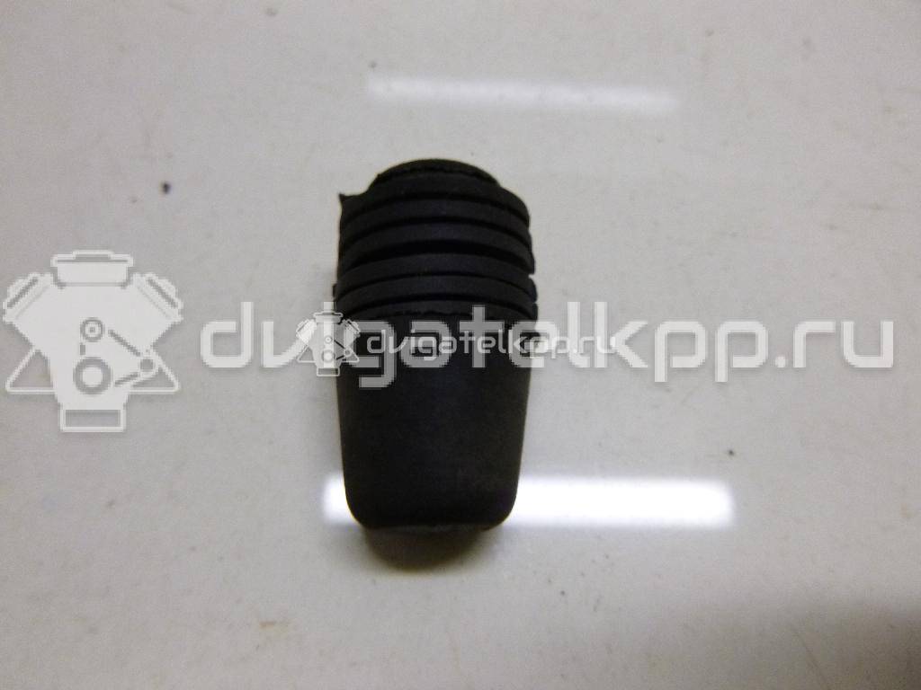 Фото Отбойник капота  1069504 для Ford Focus / S-Max / Transit / C-Max {forloop.counter}}