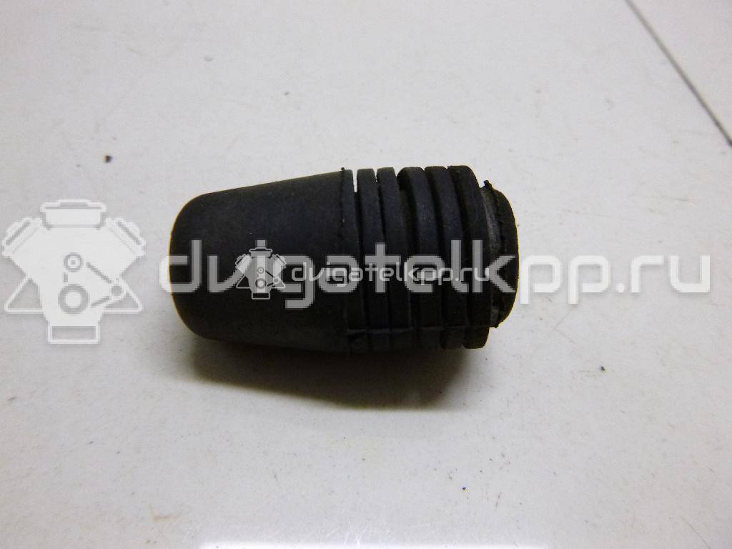 Фото Отбойник капота  1069504 для Ford Focus / S-Max / Transit / C-Max {forloop.counter}}