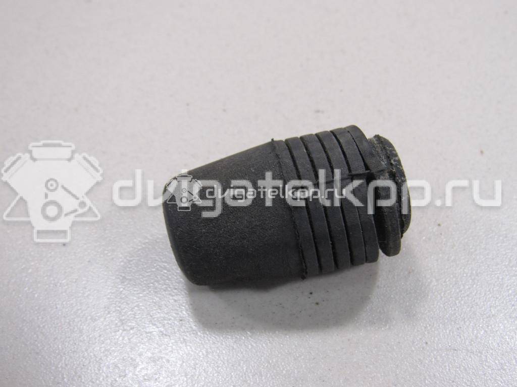 Фото Отбойник капота  1069504 для Ford Focus / S-Max / Transit / C-Max {forloop.counter}}