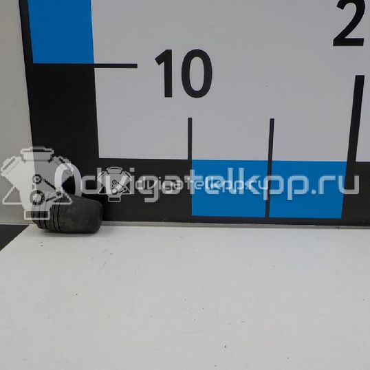Фото Отбойник капота  1069504 для Ford Focus / S-Max / Transit / C-Max