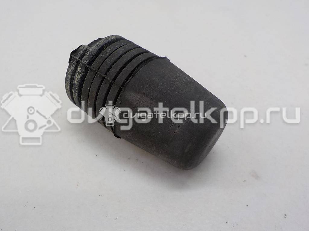 Фото Отбойник капота  1069504 для Ford Focus / S-Max / Transit / C-Max {forloop.counter}}