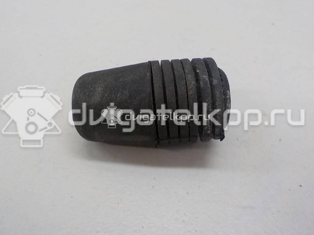 Фото Отбойник капота  1069504 для Ford Focus / S-Max / Transit / C-Max {forloop.counter}}