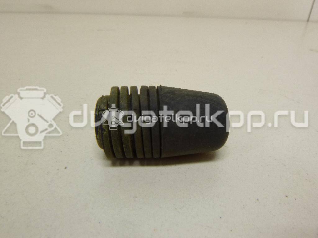 Фото Отбойник капота  1069504 для Ford Focus / S-Max / Transit / C-Max {forloop.counter}}