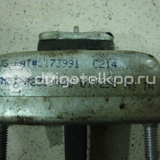 Фото Ограничитель двери  1641573 для Ford Focus / Kuga / C-Max
