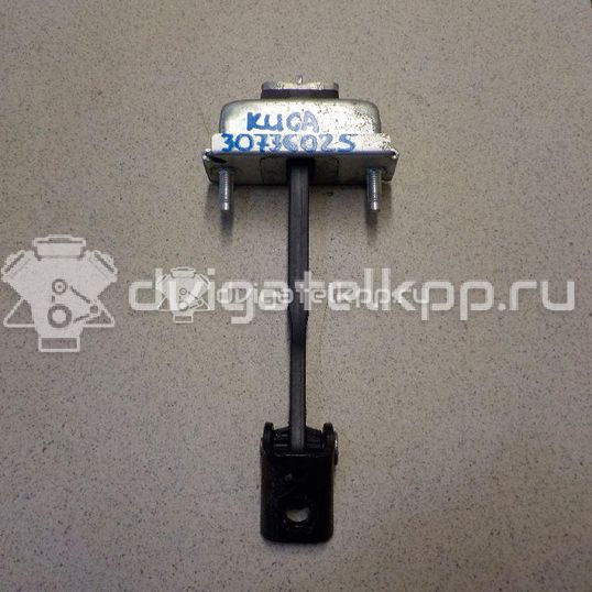 Фото Ограничитель двери  1641573 для Ford Focus / Kuga / C-Max