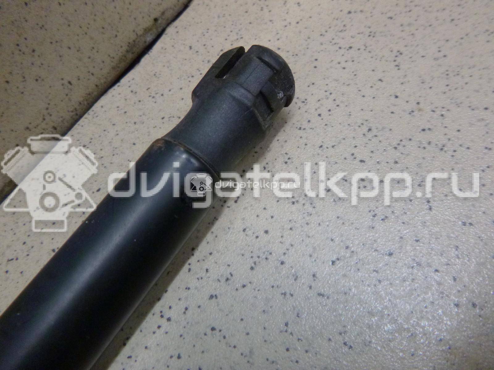 Фото Амортизатор двери багажника  3M51R406A10AB для Ford Focus / C-Max {forloop.counter}}