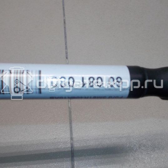 Фото Амортизатор двери багажника  3M51R406A10AB для Ford Focus / C-Max