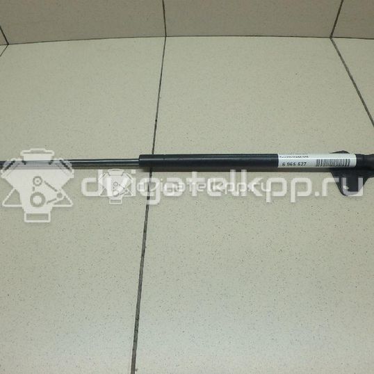 Фото Амортизатор двери багажника  3M51R406A10AB для Ford Focus / C-Max