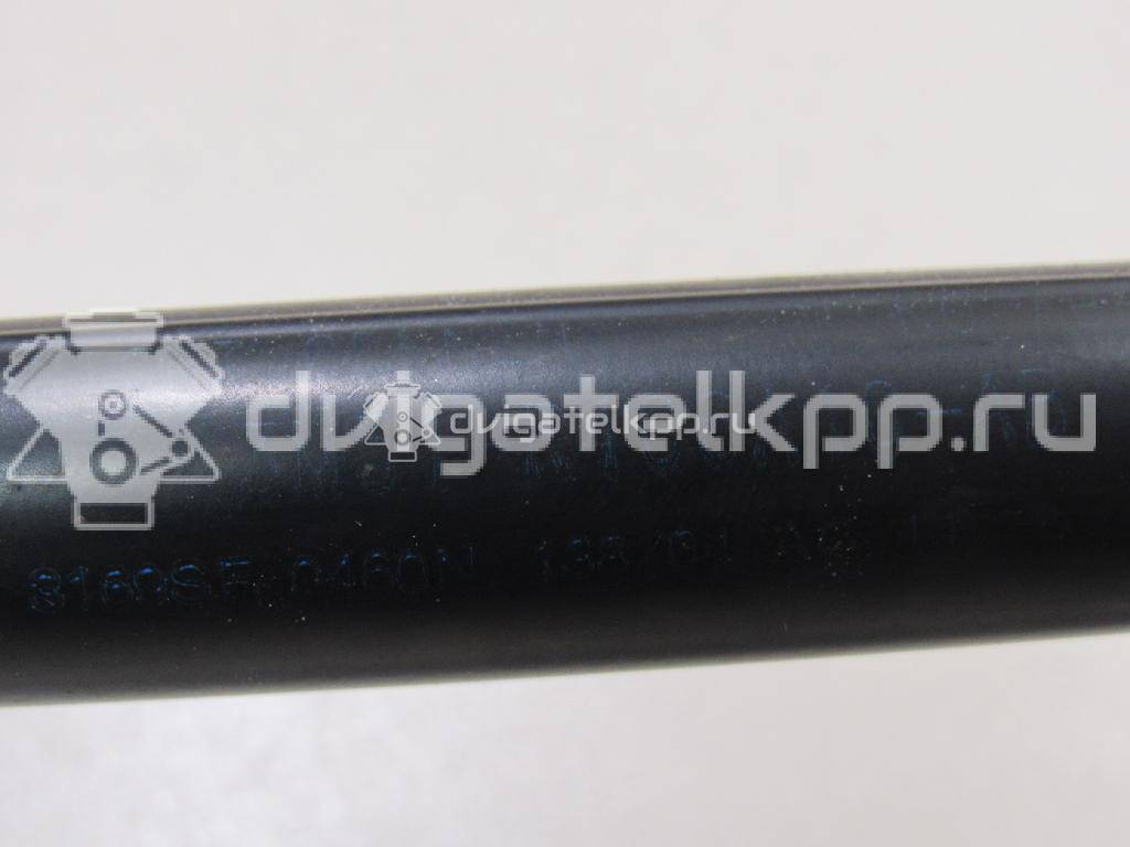 Фото Амортизатор двери багажника  3M51R406A10AB для Ford Focus / C-Max {forloop.counter}}