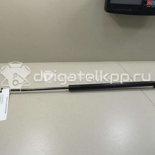 Фото Амортизатор двери багажника  3M51R406A10AB для Ford Focus / C-Max