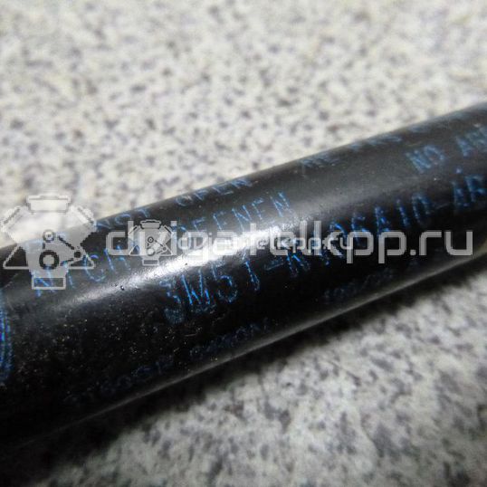 Фото Амортизатор двери багажника  3M51R406A10AB для Ford Focus / C-Max