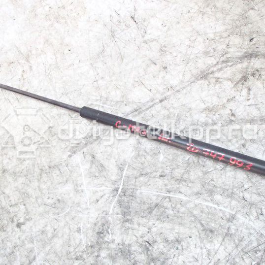Фото Амортизатор двери багажника  3M51R406A10AB для Ford Focus / C-Max
