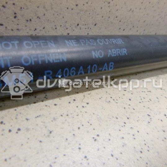 Фото Амортизатор двери багажника  3M51R406A10AB для Ford Focus / C-Max