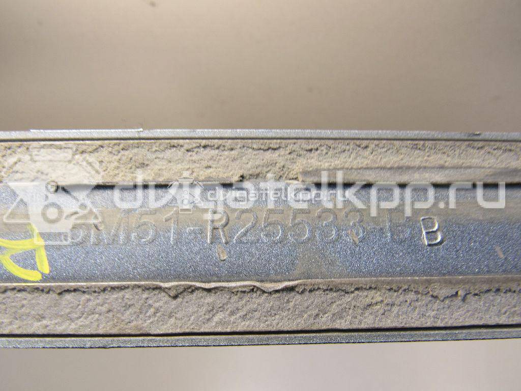 Фото Молдинг задней левой двери  1495608 для Ford Focus {forloop.counter}}