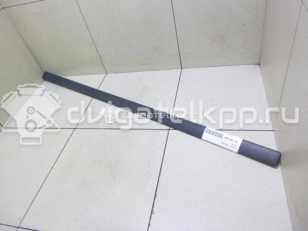 Фото Молдинг передней двери (лев=прав)  1487857 для Ford Focus {forloop.counter}}