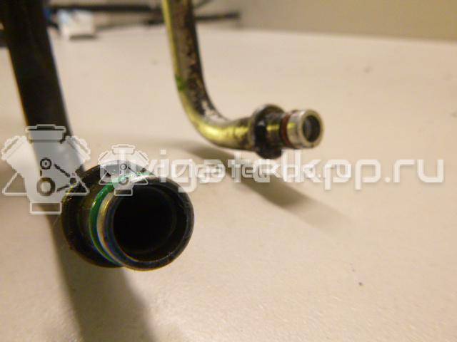 Фото Шланг гидроусилителя  1704088 для Ford Focus {forloop.counter}}