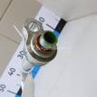 Фото Трубка кондиционера  1465448 для Ford Focus / C-Max {forloop.counter}}