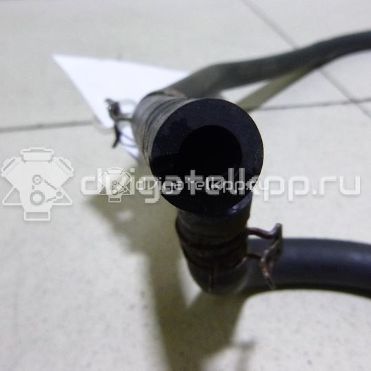 Фото Патрубок  3M5H8C012ML для Ford Focus
