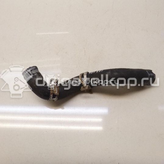 Фото Патрубок  1317039 для Ford Focus / C-Max