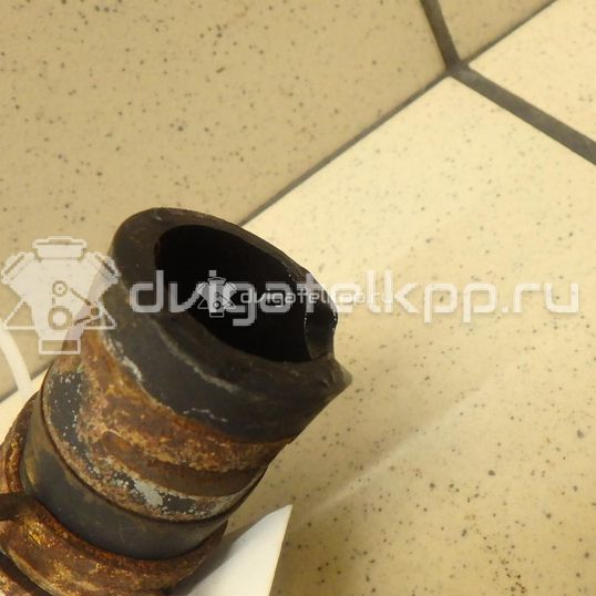 Фото Патрубок  1317039 для Ford Focus / C-Max