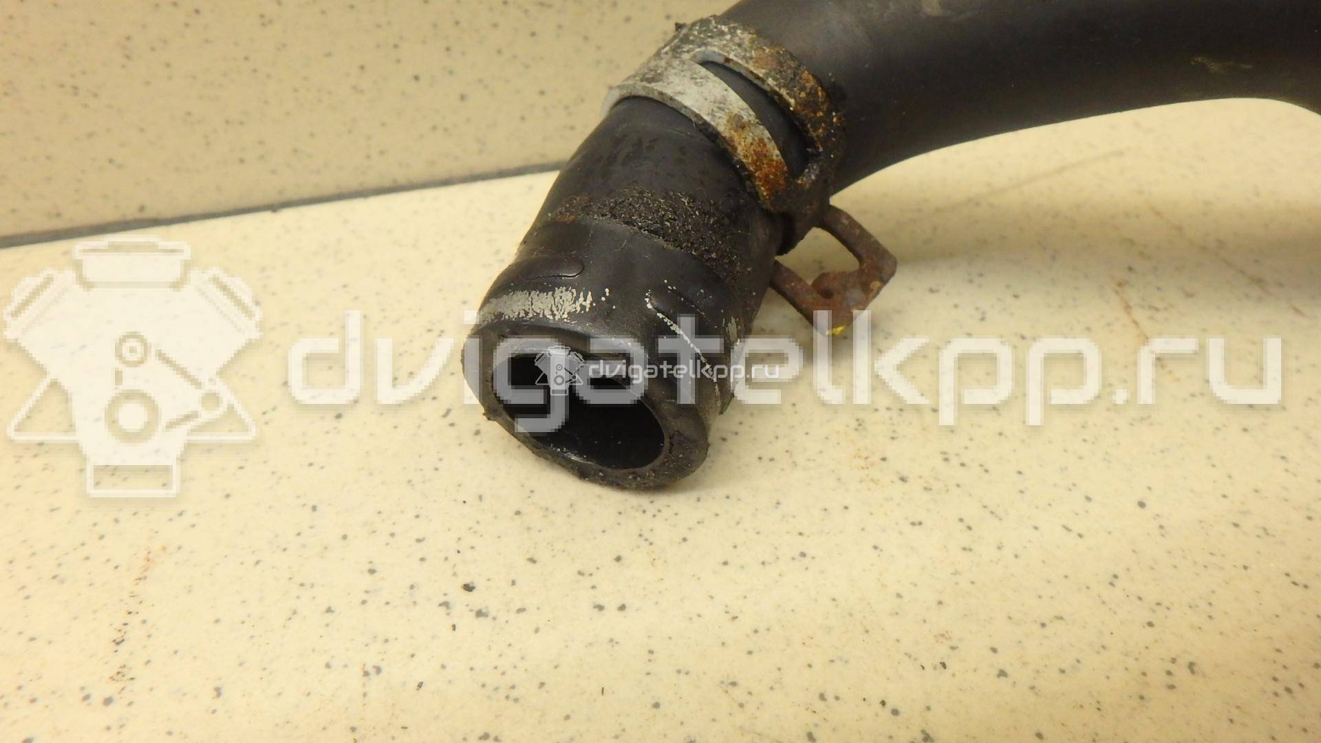 Фото Патрубок  1317039 для Ford Focus / C-Max {forloop.counter}}