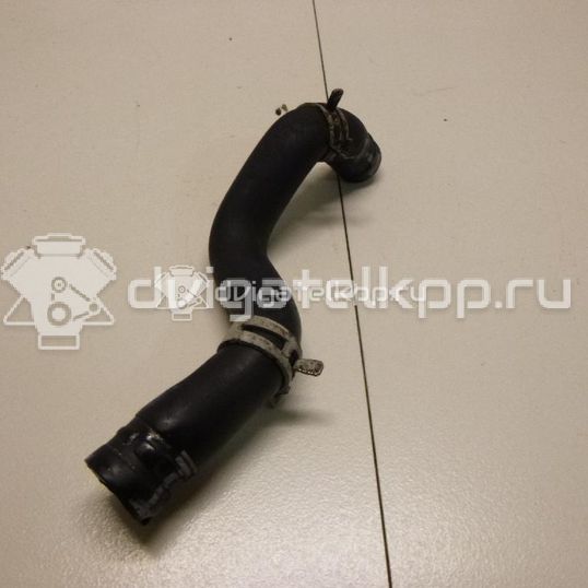 Фото Патрубок  1317039 для Ford Focus / C-Max