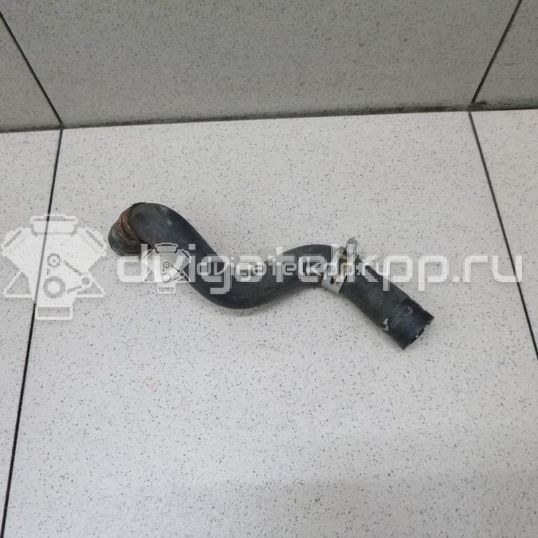 Фото Патрубок  1317039 для Ford Focus / C-Max