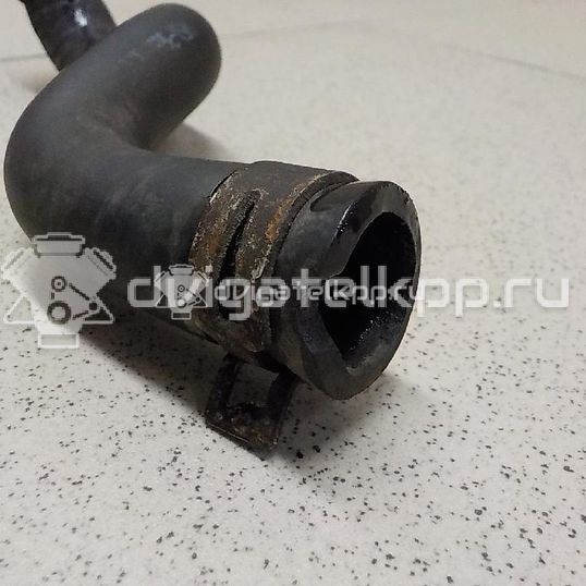 Фото Патрубок  1317039 для Ford Focus / C-Max