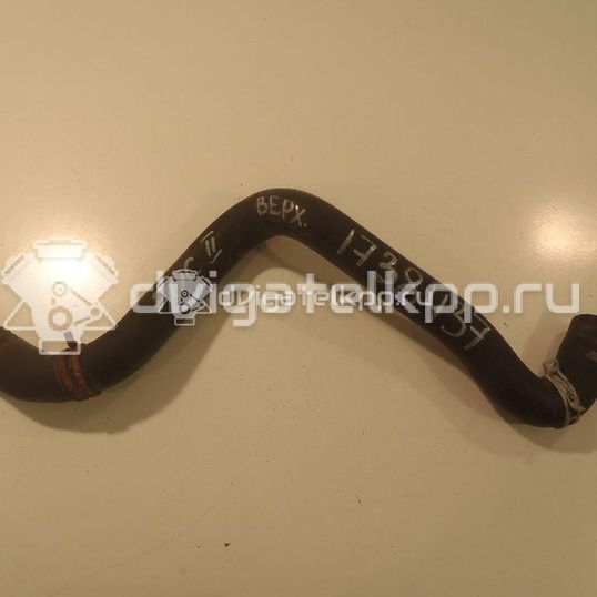 Фото Патрубок радиатора  3M5H8260BH для Ford Focus