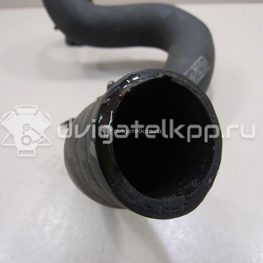 Фото Патрубок радиатора  3M5H8286BJ для Ford Focus
