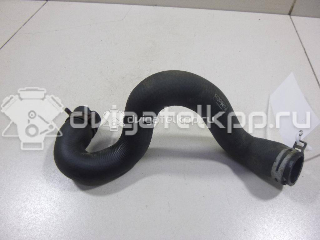 Фото Патрубок радиатора  3M5H8286BJ для Ford Focus {forloop.counter}}